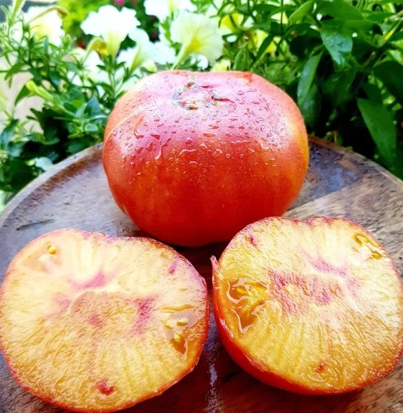 relikviya-rouds-4-142674