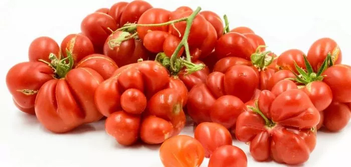 reysetomeyt-7-157987