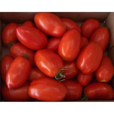 rio-fuego-main-141077