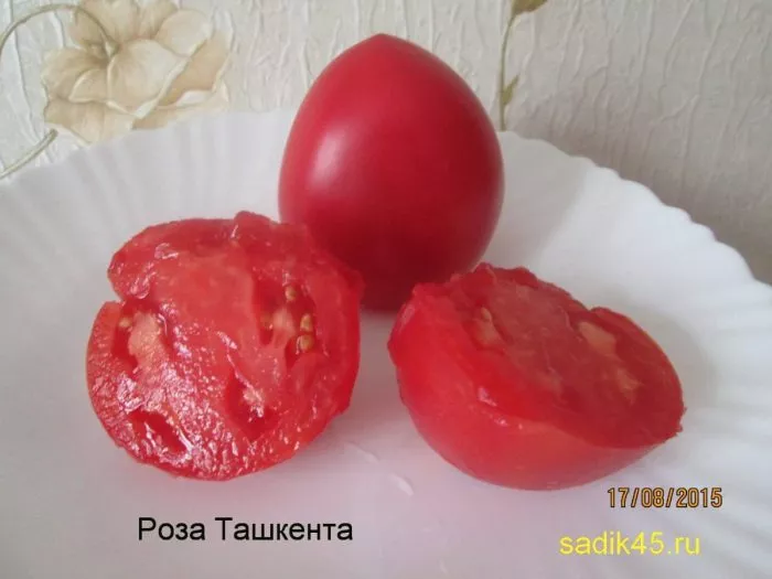 roza-tashkenta-2-139283