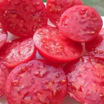 rozovoe-utro-4-156657