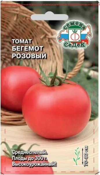 rozovyy-begemot-1-166872