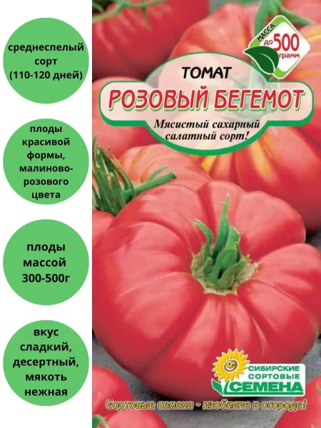 rozovyy-begemot-3-166872