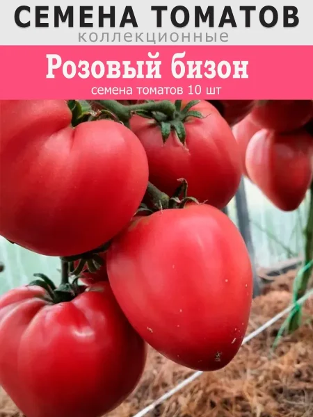 rozovyy-bizon-3-168247
