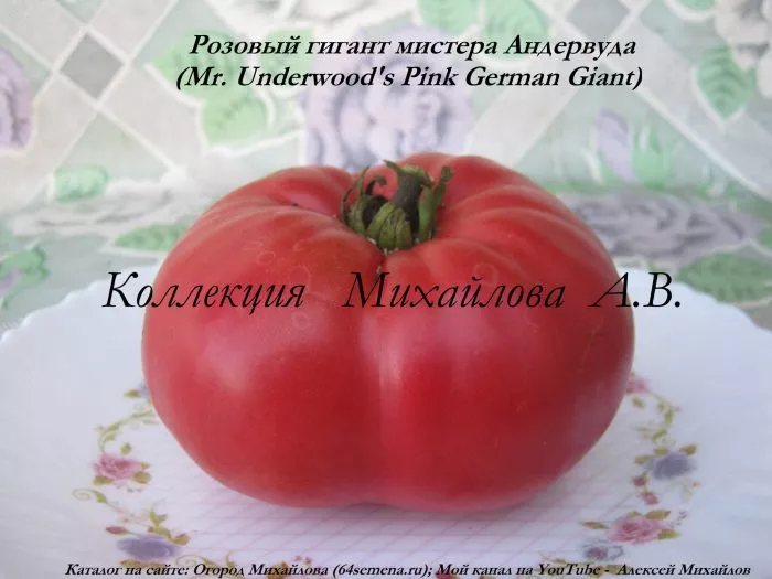 rozovyy-gigant-mistera-andervuda-2-152556