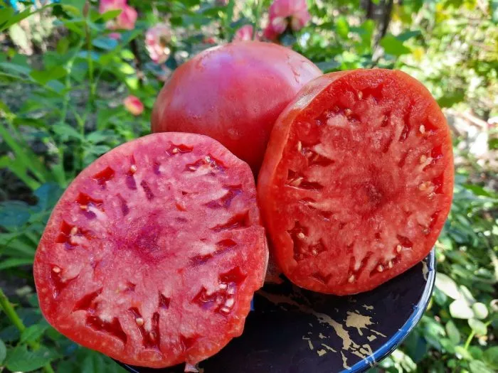 rozovyy-gigant-mistera-andervuda-6-152556