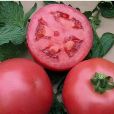 rozovyy-rassvet-7-153769