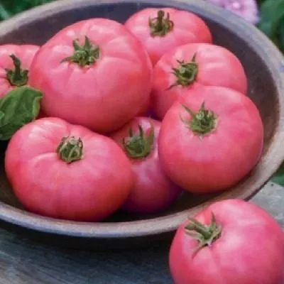 rozovyy-sladkiy-3-133527