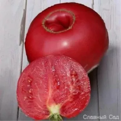 rozovyy-sladkiy-5-133527