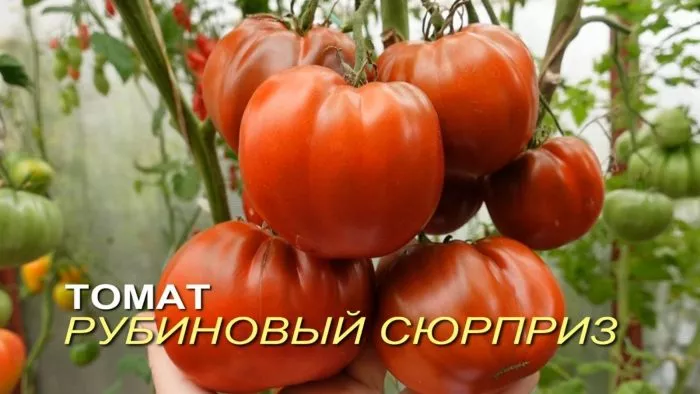 rubinovyy-syurpriz-10-166831