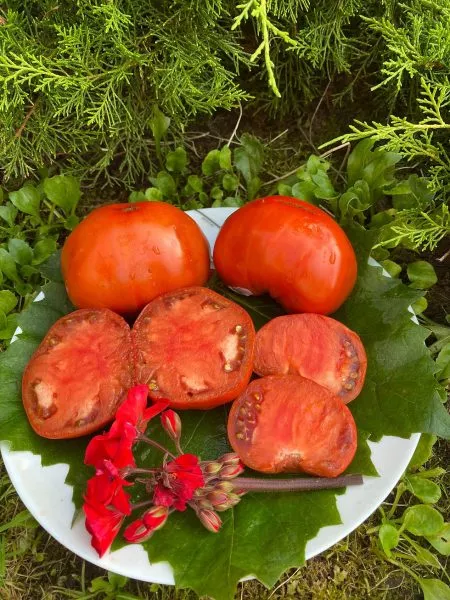 rubinovyy-syurpriz-5-166831