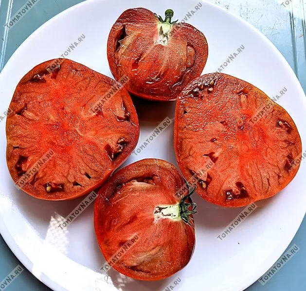 rubinovyy-syurpriz-6-166831