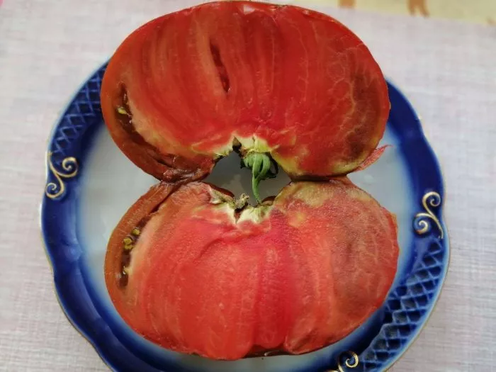 rubinovyy-syurpriz-8-166831