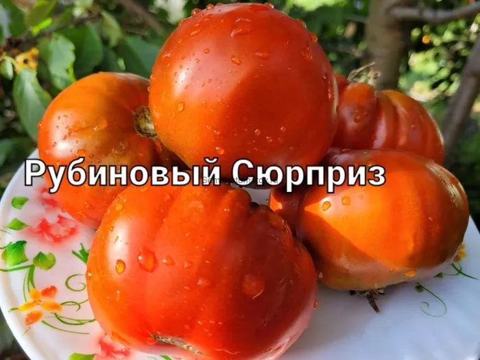 rubinovyy-syurpriz-9-166831