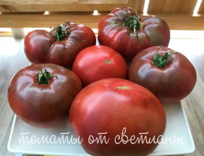 rubinovyy-syurpriz-main-166831