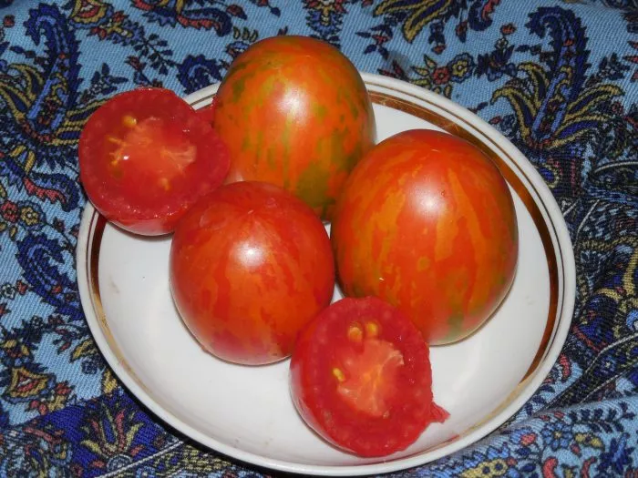 russkaya-koroleva-1-148313