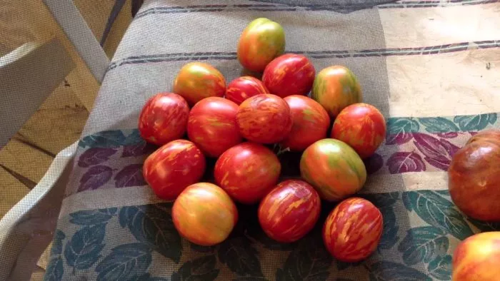 russkaya-koroleva-2-148313