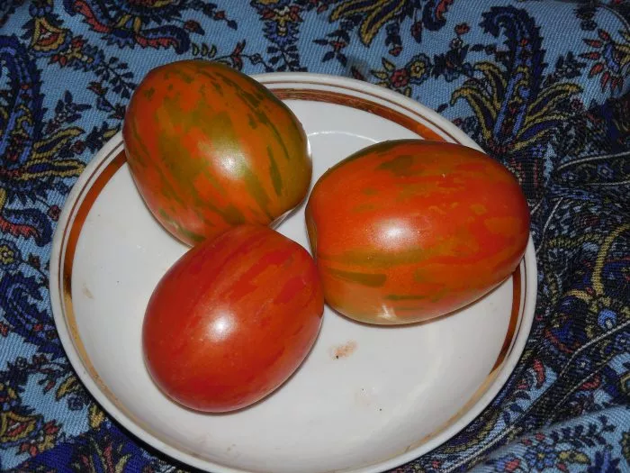 russkaya-koroleva-3-148313