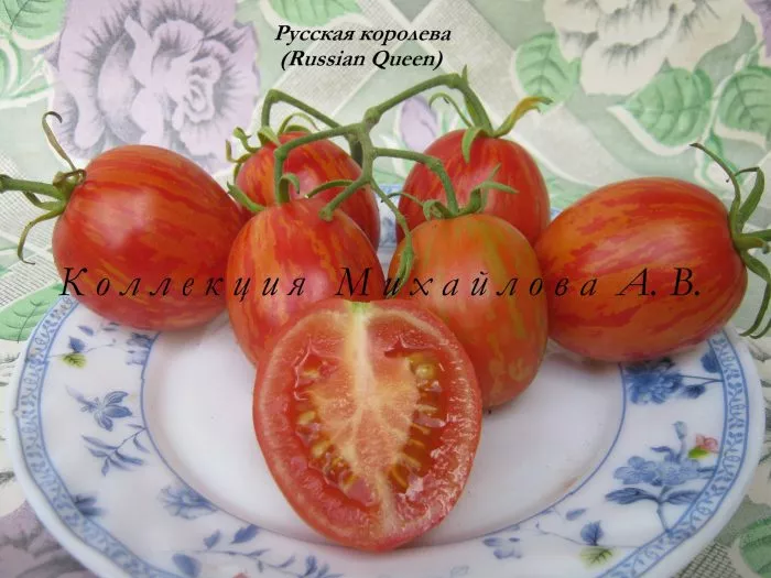 russkaya-koroleva-8-148313