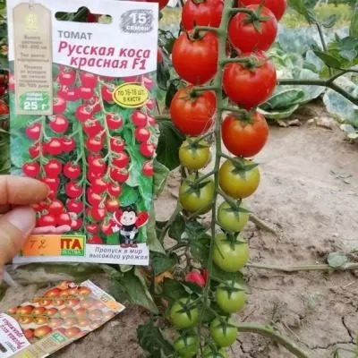 russkaya-kosa-krasnaya-7-167250