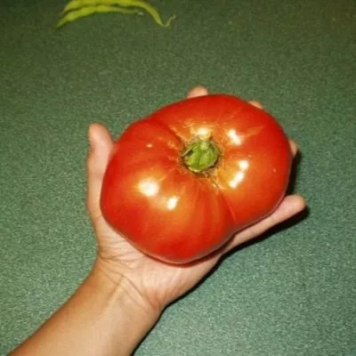 russkiy-razmer-6-148704