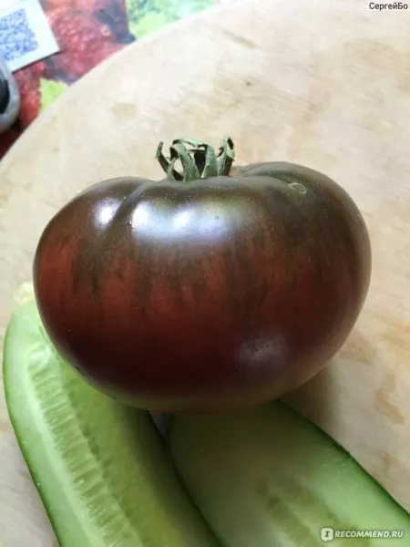 sahar-korichnevyy-6-159369