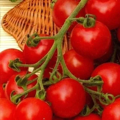 saharnyy-malysh-6-150093