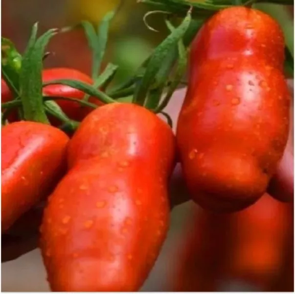 sankina-lyubov-3-160686