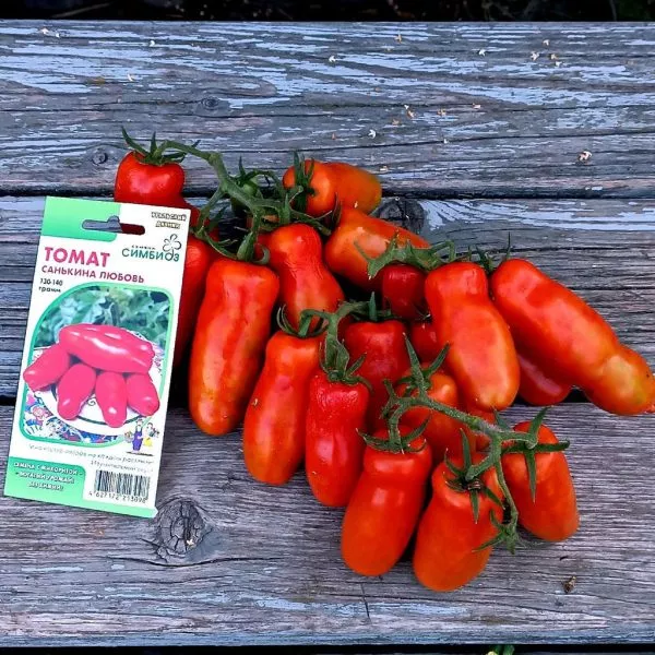 sankina-lyubov-4-160686