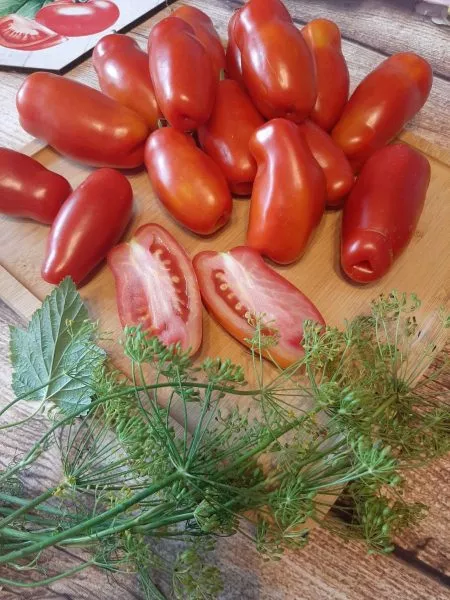 sankina-lyubov-5-160686