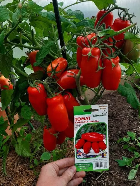 sankina-lyubov-6-160686