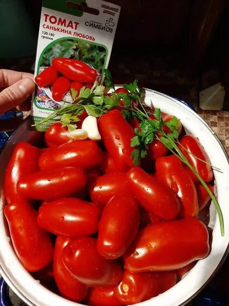 sankina-lyubov-7-160686