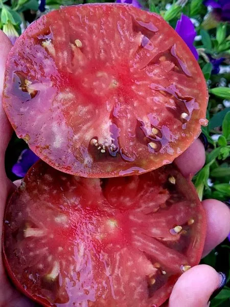 sara-chernaya-4-158145