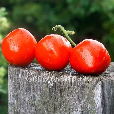 serdechnyy-potseluy-3-139648