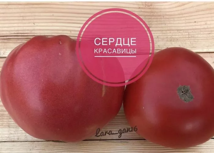 serdtse-krasavitsy-3-139540