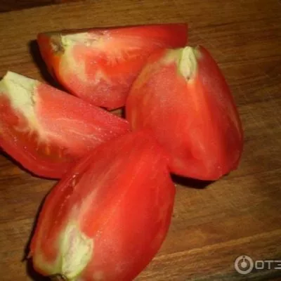 serdtse-krasavitsy-5-139540