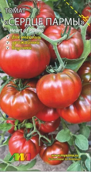 serdtse-parmy-1-166097