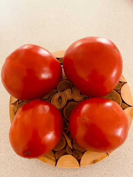 serdtse-stolitsy-2-139507