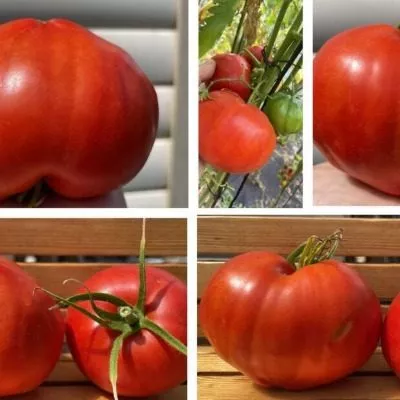 serdtse-stolitsy-4-139507