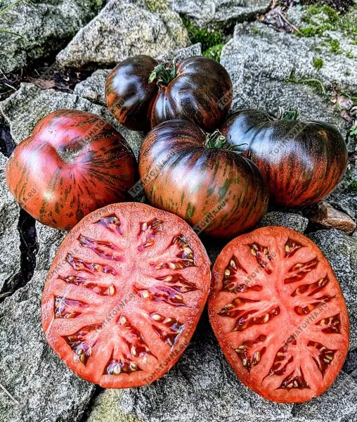 seryy-metallicheskiy-pistolet-10-158059