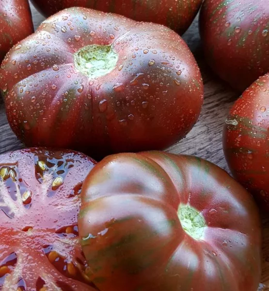 seryy-metallicheskiy-pistolet-6-158059