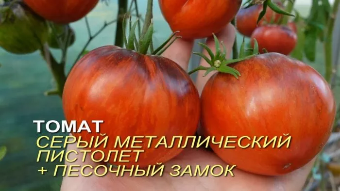 seryy-metallicheskiy-pistolet-8-158059