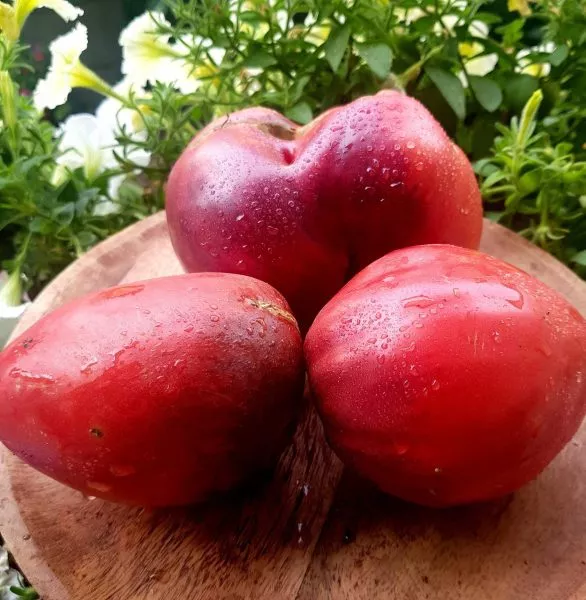 serzhant-marli-1-137292