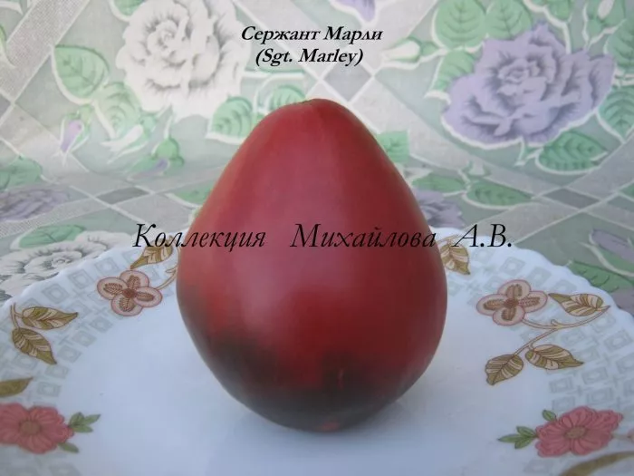 serzhant-marli-4-137292