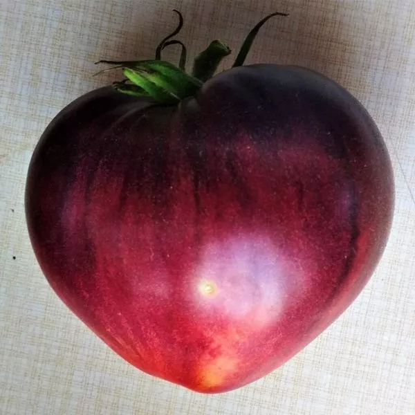 serzhant-pepper-rozovyy-11-142465