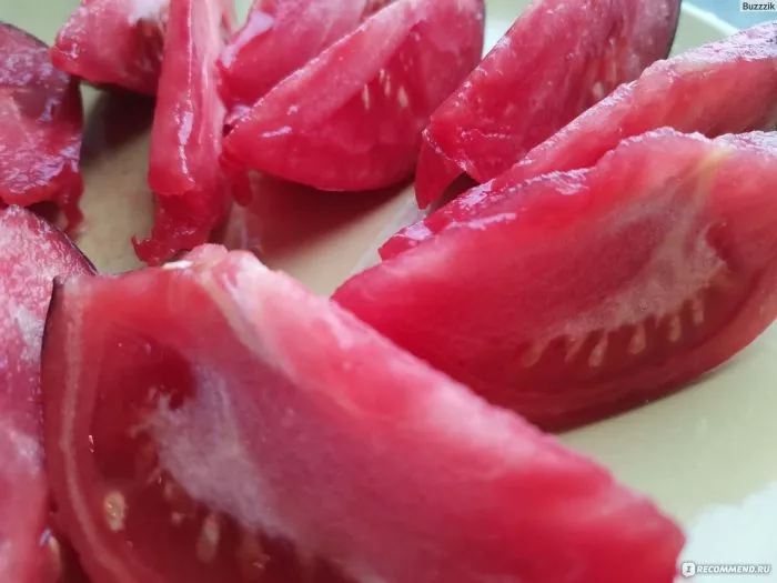 serzhant-pepper-rozovyy-9-142465