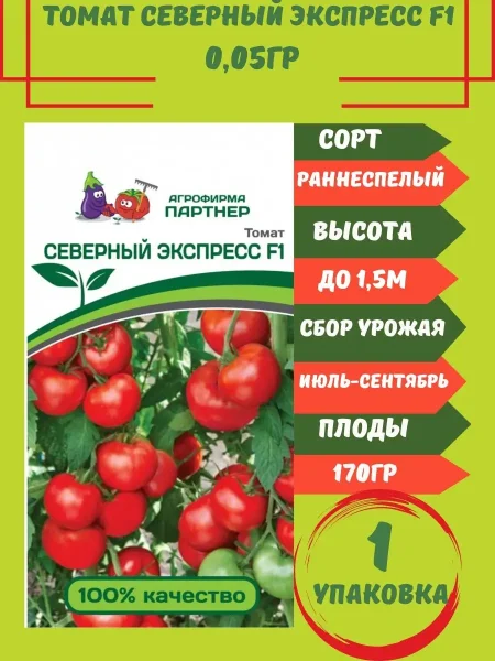 severnyy-ekspress-2-165879