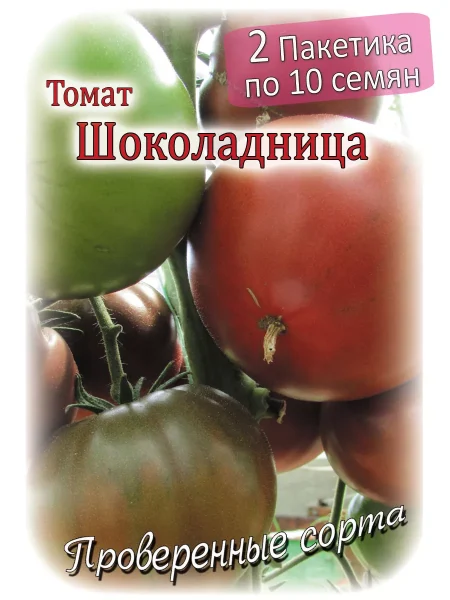 shokoladnitsa-2-148771