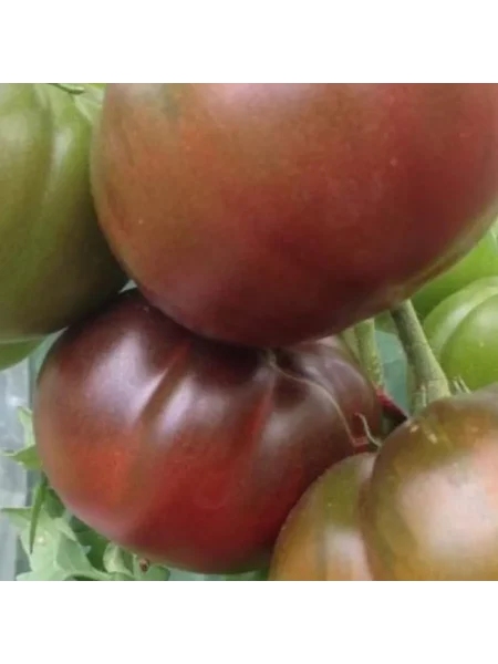 shokoladnyy-liker-3-142974