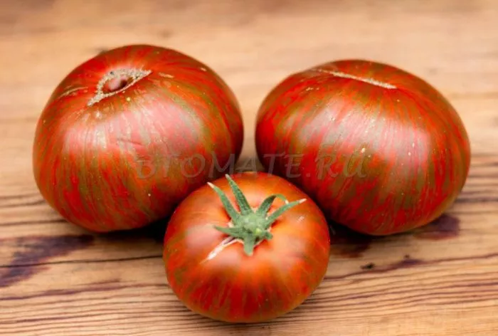 shokoladnyy-liker-4-142974